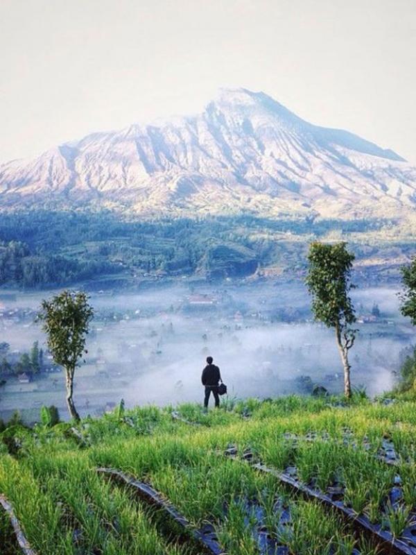 Pemandangan Gunung Berapi Batur yang dilihat dari Desa Pinggan | via: bali.mehthesheep.com