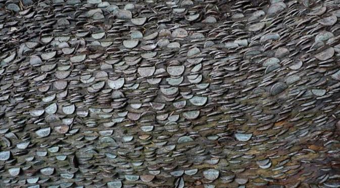 Pohon duit di Inggris | Via: odditycentral.com