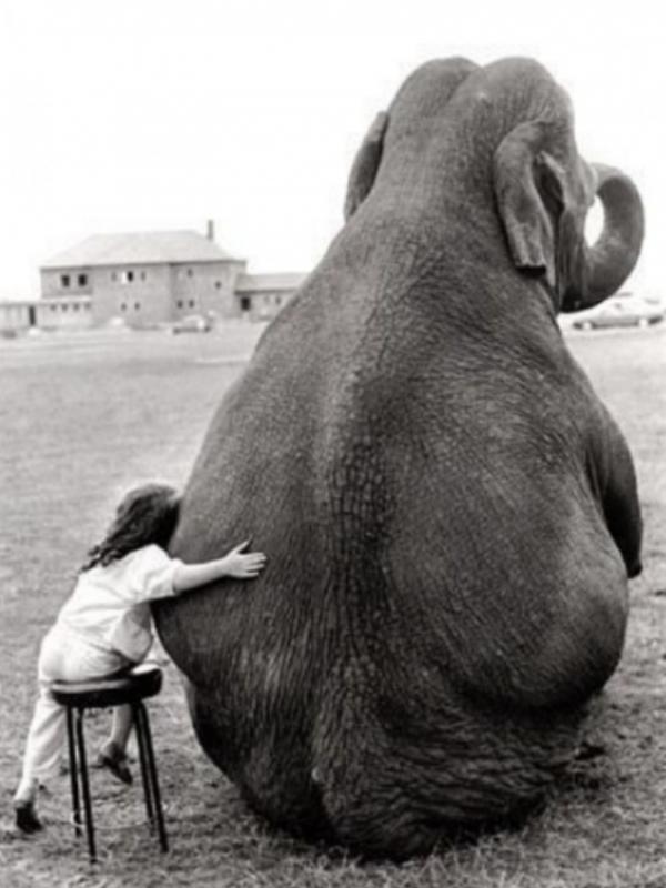 Interaksi hewan dan manusia yang menghangatkan hati | via: brightside.me