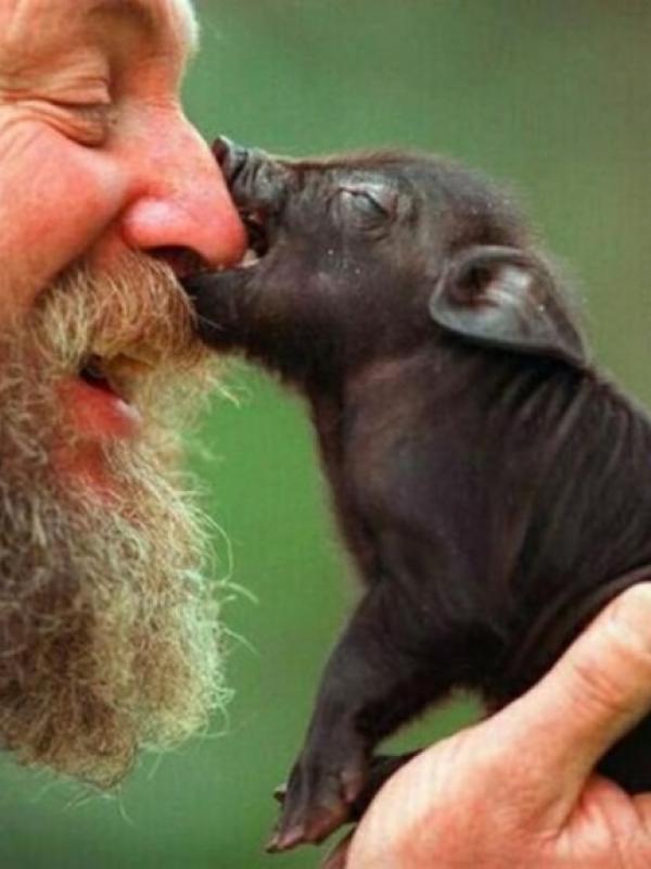 Interaksi hewan dan manusia yang menghangatkan hati | via: brightside.me