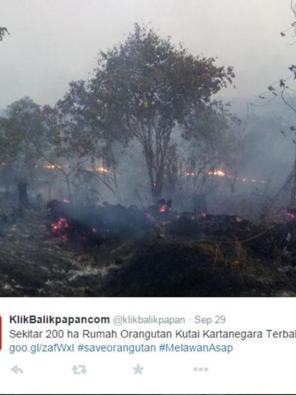 Tidak Hanya Kabut Asap, Netizen Minta Jokowi Selamatkan Orangutan | via: twitter.com
