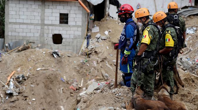 Anjing pelacak dikerahkan untuk mencari korban tertimbun reruntuhan longsor Guatemala. (Reuters)