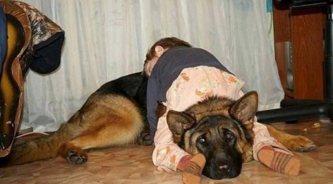 Tidur di atas anjing. (Via: happt-girrafe.ru)