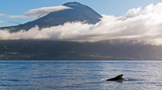Pico, Azores. | via: Shutterstock