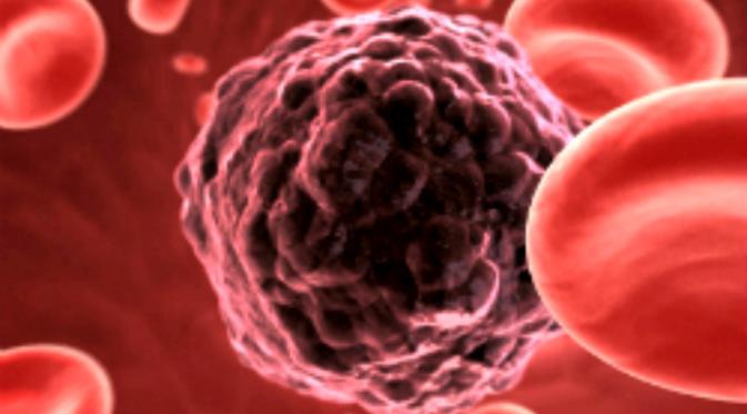 Penelitian di Denmark untuk menciptakan vaksin malaria baru malah mengungkapkan rahasia yang berpotensi untuk pengobatan kanker. (University of Copenhagen)