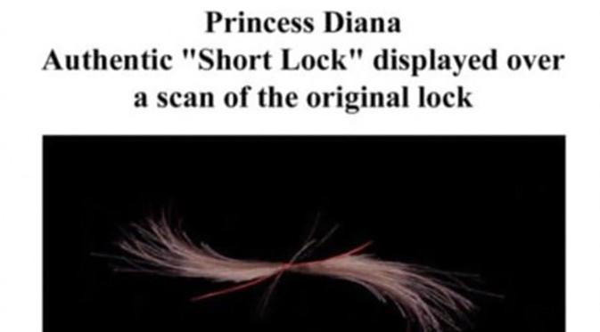 Potongan rambut mendiang Putri Diana dijual secara online. (foto: dailymail)