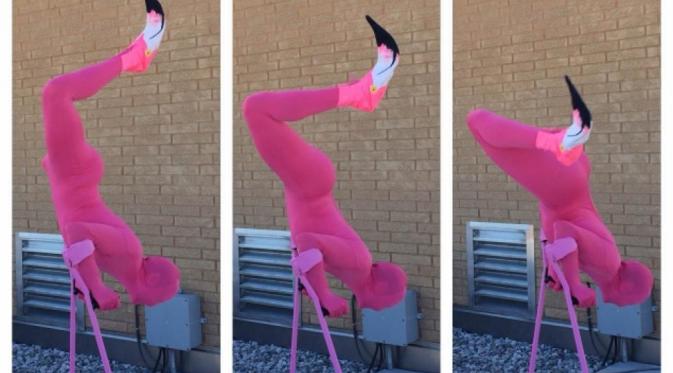 Josh Sundquist sebagai burung flamingo. (New York Daily)