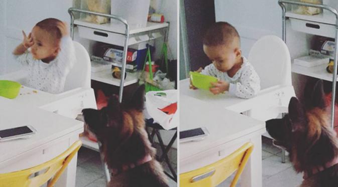 Anak Nina Tamam ditemani anjing kesayangannya
