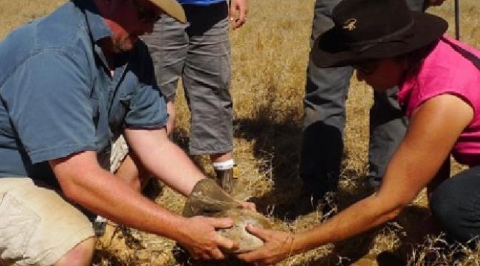 Jadi ahli Paleontologi dadakan di Winton, Australia