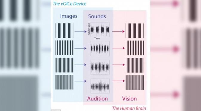 Menerjemahkan visual ke bunyi. (foto: Caltech)