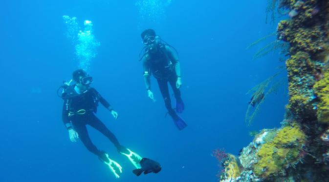 Menyelam menjadi salah satu aktivitas yang menyenangkan salah satu spot diving yang patut dicoba adalah di Tulamben Bali