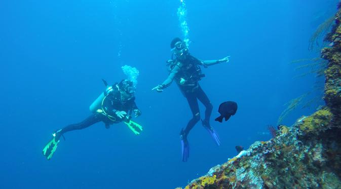 Menyelam menjadi salah satu aktivitas yang menyenangkan salah satu spot diving yang patut dicoba adalah di Tulamben Bali