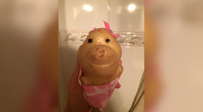 Si kentang lucu dengan baju dan pita. (foto: Facebook/Roberta Bernardo)