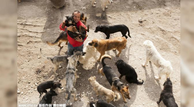 Setelah mencari di rumah jagal selama satu minggu, ia membeli pemotongan hewan itu dan mengubahnya menjadi penampungan anjing. (Shanghaiist)