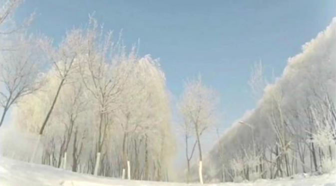 Kabut di sebuah kota membeku dengan cepat sehingga menjadi pemandangan alam yang cantik. (Sumber cuplikan video AOL)