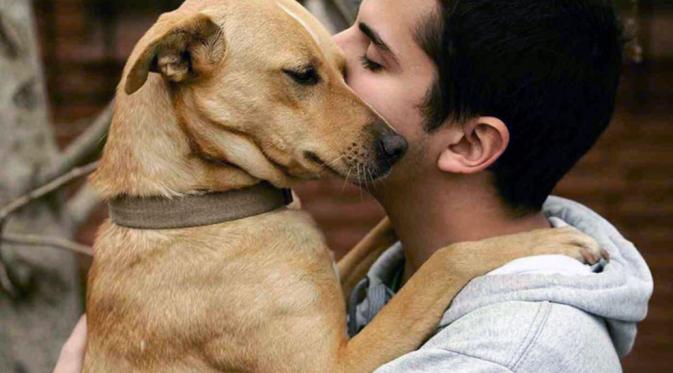 Hal Ini Buktikan Kalau Anjing Memang Makhluk Penyayang|via: smilesofindia.com