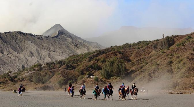 Kuda menjadi salah satu alat transportasi yang digunakan untuk menjelajahi pesona Gunung Bromo.
