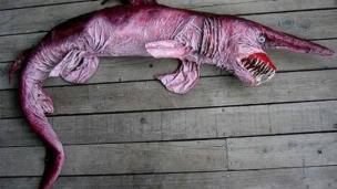 The goblin shark | via: animalmozo.com