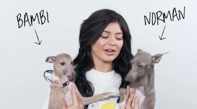 Kylie Jenner mengaku memberikan perawatan istimewa terhadap kedua anjing peliharaannya [foto: Mirror]