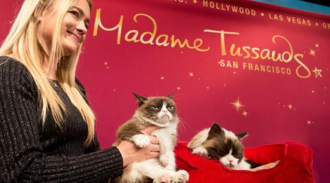'Kembaran' animatronik si Kucing Penggerutu dipamerkan di Madame Tussauds San Fransisco. (foto: Facebook/Madame Tussauds San Fransisco)