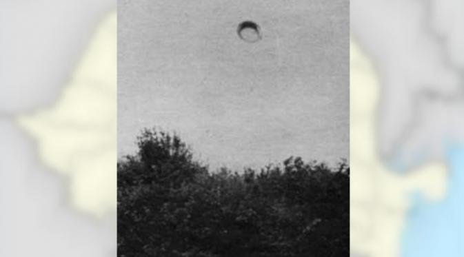 Penampakan diduga UFO di hutan angker Hoia Baciu ( HoiaBaciuForest.com)
