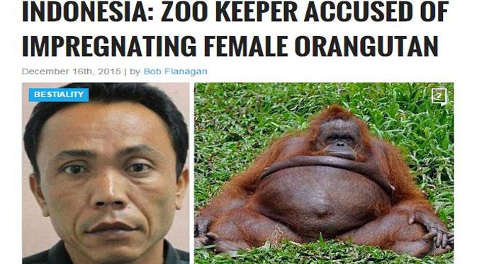 Sebuah media asing menyebutkan penjaga kebun binatang di Surabaya telah menghamili orangutan bernama Marilyn. Benarkah?