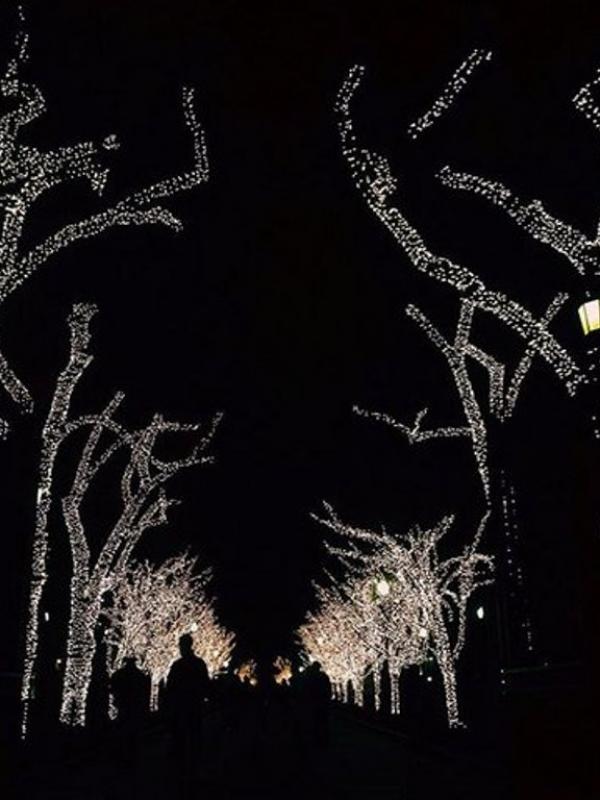 12 Lampu Natal Ini Tidak Boleh Dimatikan. Sumber : vogue.com