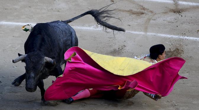 Matador asal Kolombia, Paco Perlaza terlihat terjatuh saat aksi melawan banteng di Festival adu banteng di Arena Canaveralejo, Cali, Kolombia, (29/12). Festival ini di adakan tiap setahun sekali menjelang akhir tahun. (REUTERS/Jaime Saldarriaga)