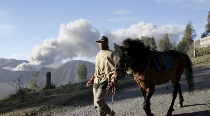 Seorang pria sambil menuntun kuda miliknya berjalan dengan latar belakang semburan abu vulkanik dari Gunung Bromo yang sedang erupsi di Ngadisari, Probolinggo, Jawa Timur, Rabu (6/1/2016). (REUTERS/Darren Whiteside)