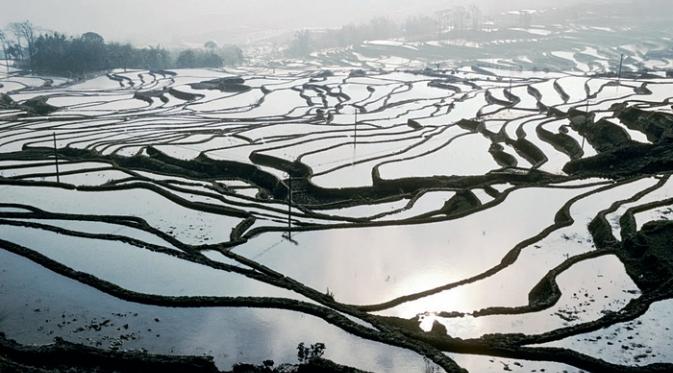 Undakan sawah di provinsi Yunnan, Tiongkok, 2001. | via: Roland and Sabrina Michaud/akg images