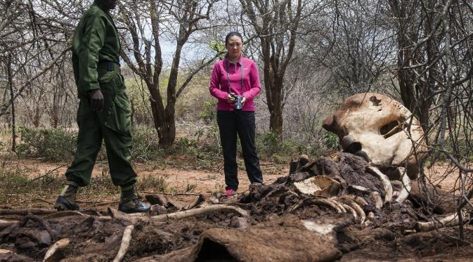Keracunan Sianida, Puluhan Gajah di Zimbabwe Terbunuh | via: lifegate.com