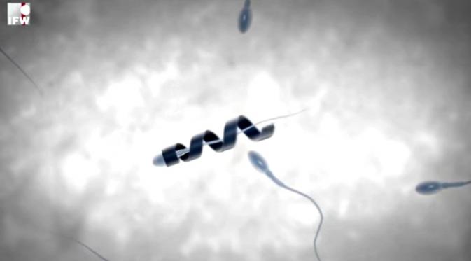 Robot mikro ini membantu sperma berenang ke arah sel telur. (Sumber IFW Dresden via American Chemical Society)