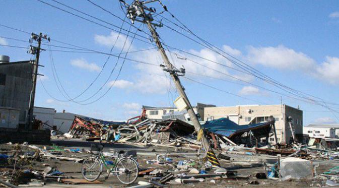 Gempa dan tsunami Tohoku. (foto: Oddity Central)