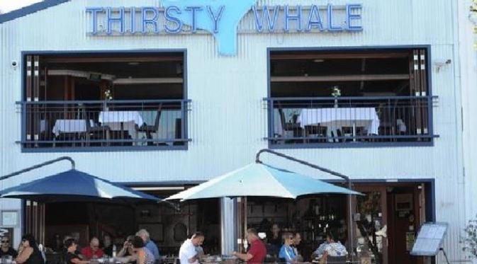 Bar Thirsty Whale, Napier. (News.com.au)