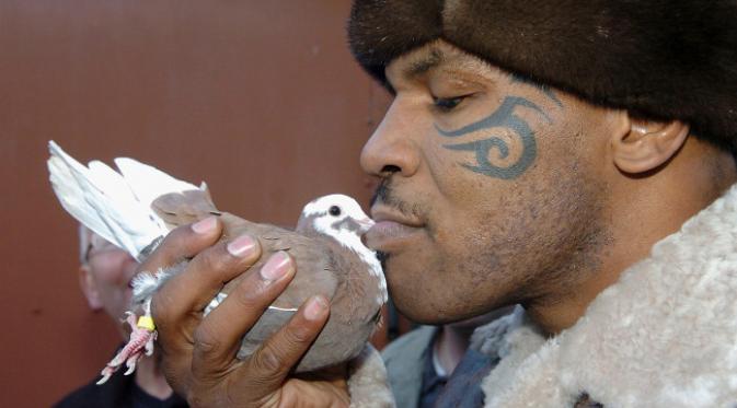 Mike Tyson, petinju kelas berat yang sayang burung merpati. (foto: Huffington Post)