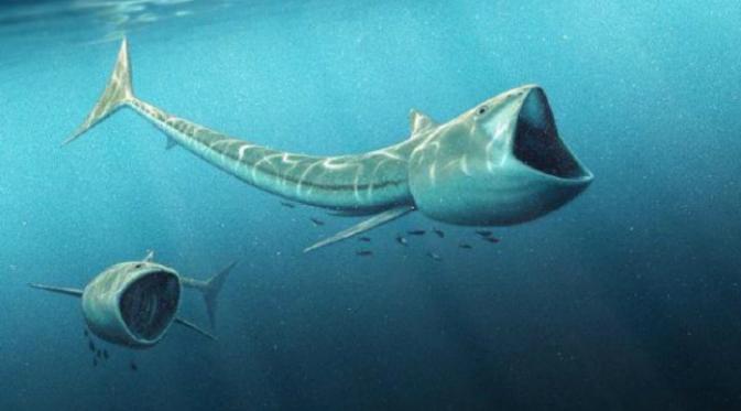 Sekelompok ilmuan baru-baru ini kembali menemukan fosil ikan purba dengan mulut besar yang diyakini telah hidup di lautan lepas hamipr 100 j
