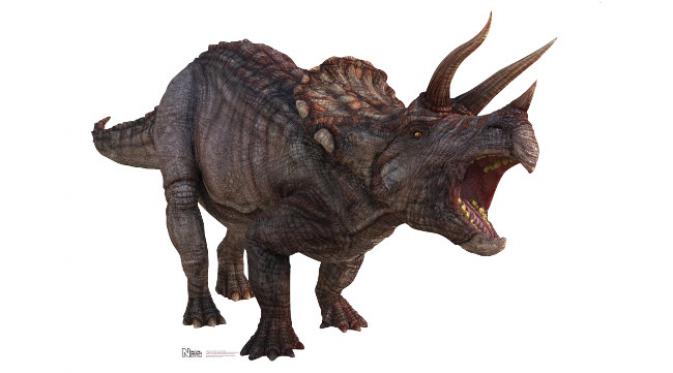 Triceratops merupakan dinosaurus herbivora yang hidup 68 juta tahun yang lalu. (howitworksdaily.com)