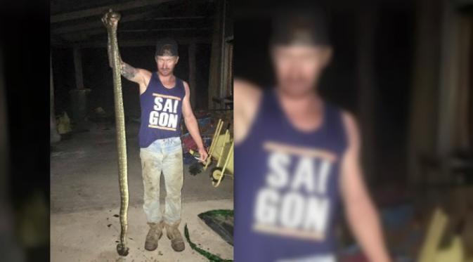 Sang ibu langsung mencengkram tubuh ular piton sepanjang 3 meter itu dari wajah anaknya dan langsung memanggil bantuan.(News.com.au)