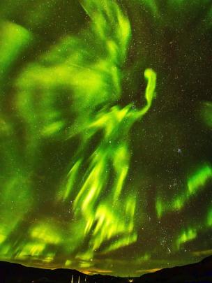 Seekor burung phoenix yang sedang melayang di angkasa di wilayah utara Islandia sempat terekam kamera foto