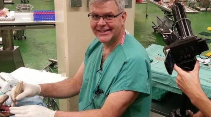 Jim Moore, ayah majikan Wesley yang menangani permasalahan pada giginya. (Via: facebook.com/Harborfront-Hospital-for-Animals)