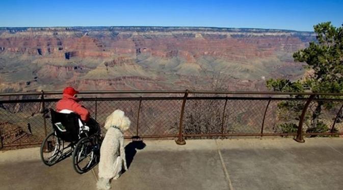 Norma berpose bersama Ringo di Grand Canyon. (Driving Miss Norma/Facebook)