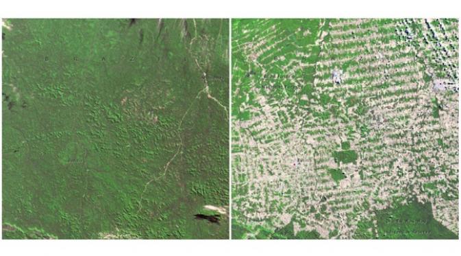Hutan Rondonia, Brazil. (Juni, 1975 — Agustus, 2009) (sumber.brightside.me)