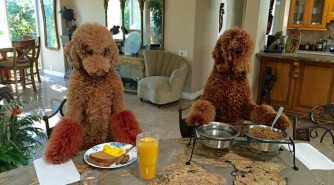 Max and Ruby sedang makan bersama (via: dailymail.co.uk)