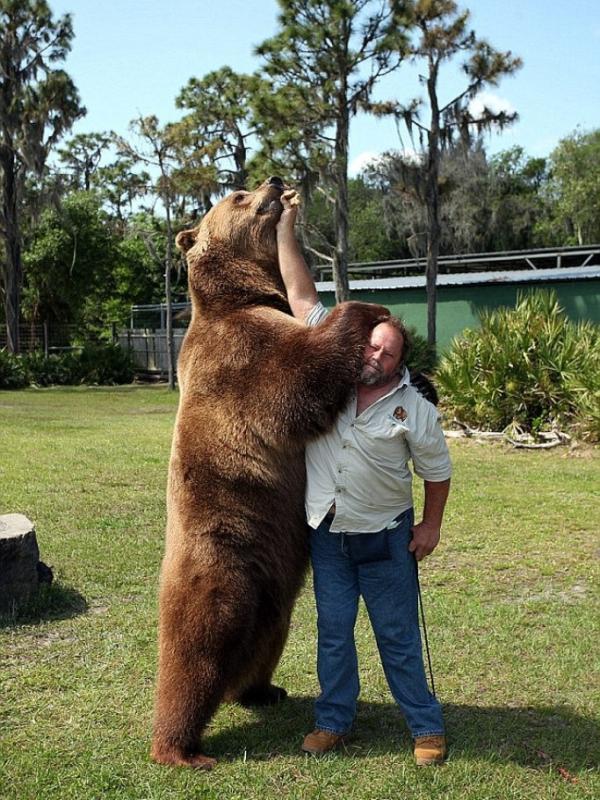 Satu keluarga di Florida yang hidup dengan 13 beruang. (Ruaridh Connelian/Barcroft USA)