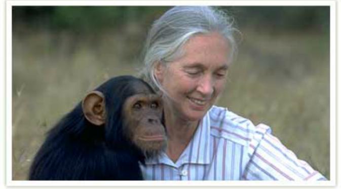 Jane Goodall, Ilmuwan Inggris yang meneliti tentang primata (Foto: old-www.wsu.edu).