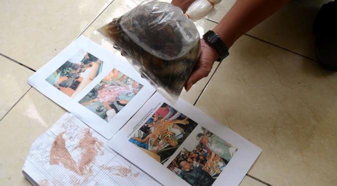 Masyarakat memakan harimau yang terjerat di perangkap dan mengklaim hal tersebut merupakan tradisi. (Liputan6.com/Reza Perdana)