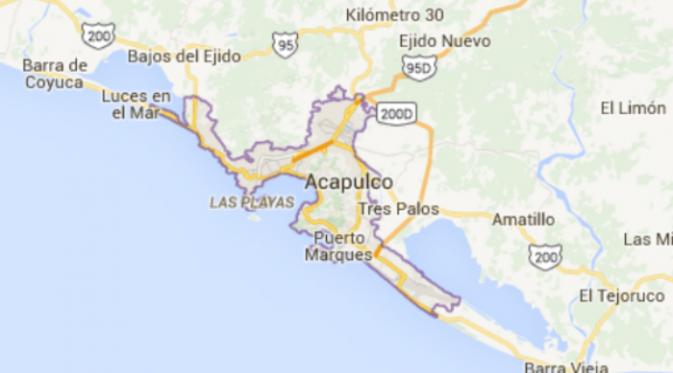 Hewan yang belum dapat teridentifikasi itu ditemukan di Pantai Bonfil, Kota Acapulco, Guerrero, Meksiko. (Foto: Google Map Data). 