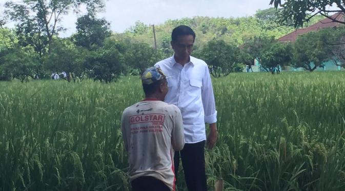 Presiden Joko Widodo datangi petani saat kunjungan kerja ke Jawa Barat