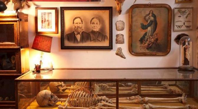Morbid Anatomy Museum (Foto: awesomefoundation.org).