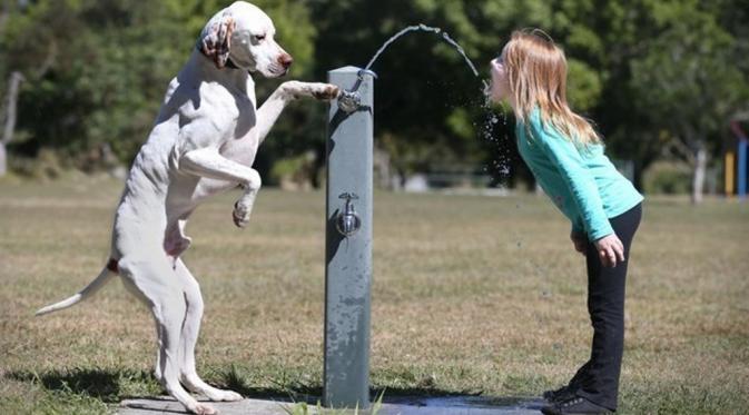 Anjing ini memperhatikan anak ini minum, lucu ya. (via: buzzfeed.com)